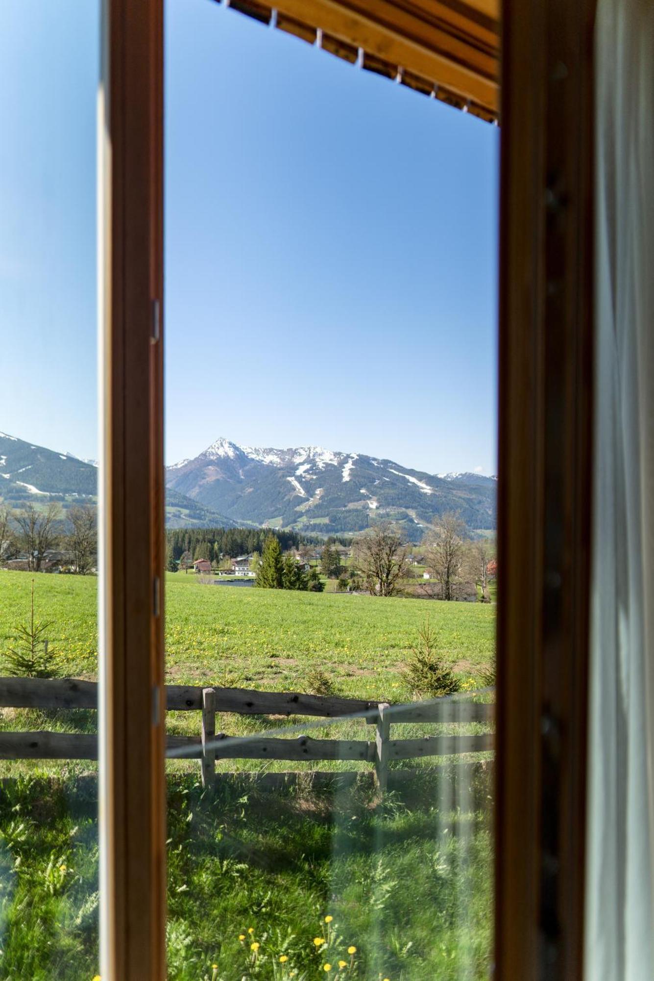 Rittis Alpin Chalets Dachstein 람자우 암 다흐스타인 외부 사진