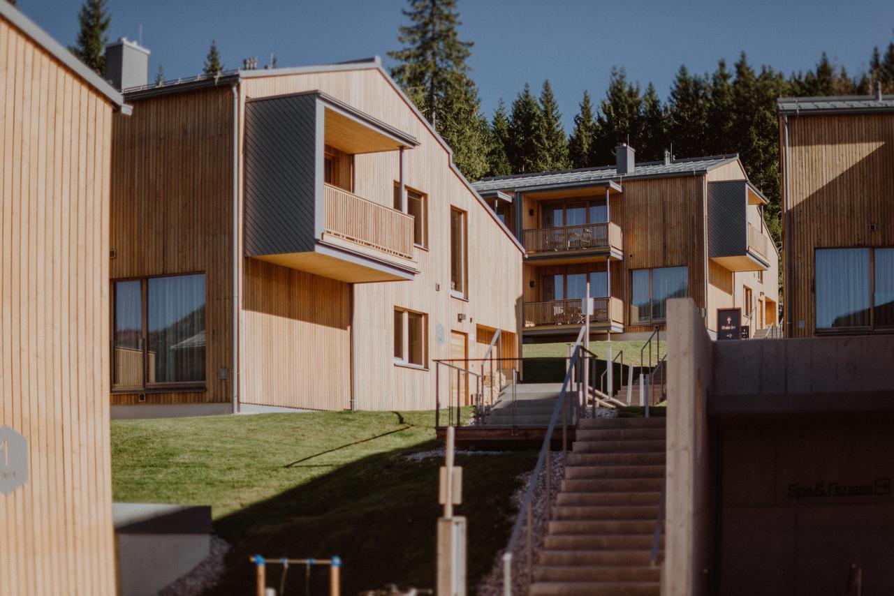 Rittis Alpin Chalets Dachstein 람자우 암 다흐스타인 외부 사진